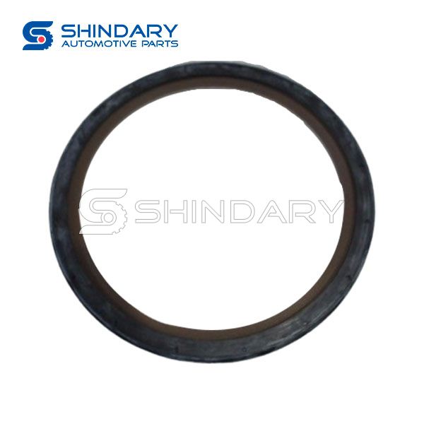 Crankshaft rear oil seal 1002060FE010 for JAC JHR