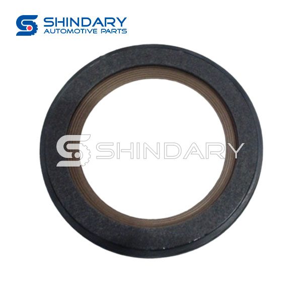 Crankshaft front oil seal 1002070FE010 for JAC JHR