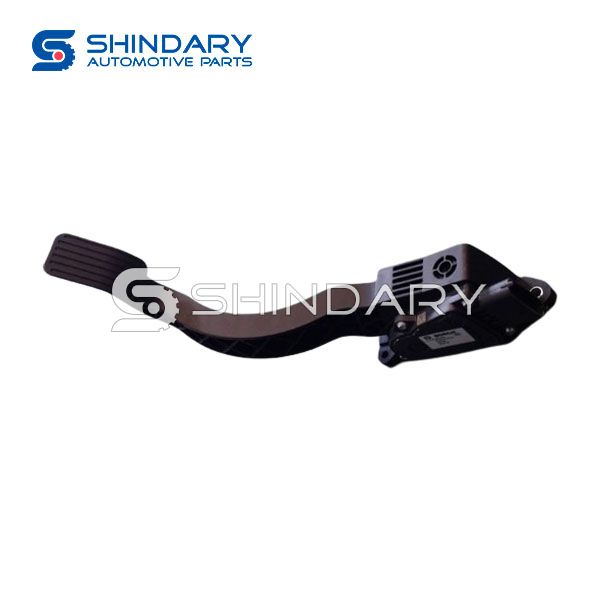 Gas pedal 2307002 for DFM H30