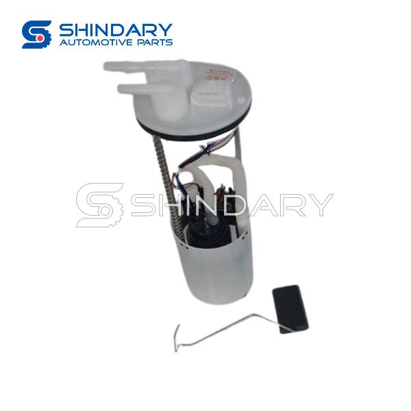 Fuel pump 1106110-B01 for SHINERAY X30L