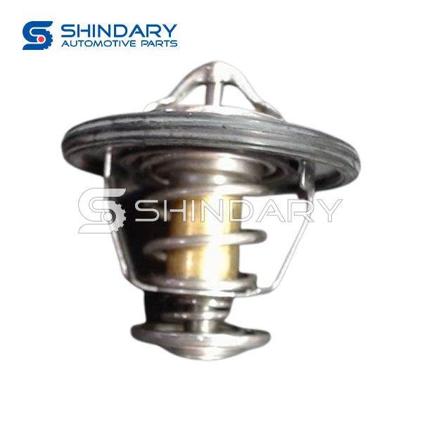 thermostat 6096-A006 for ZNA RICH