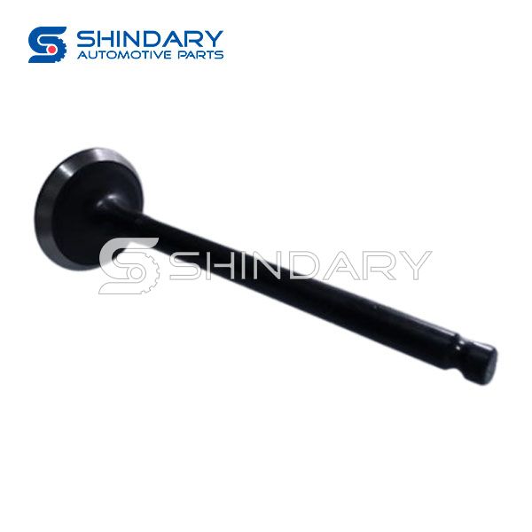 Exhaust valve FS01-12-121 for MAZDA MATSURY