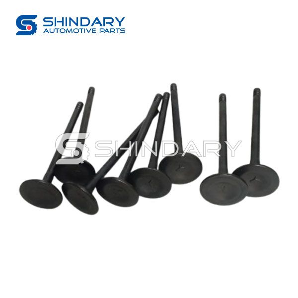 Exhaust valve XY10070020-T15000 for SWM G01