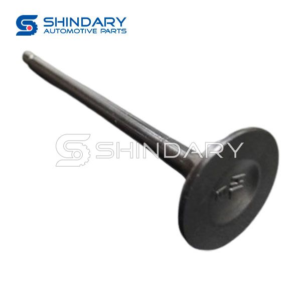 Exhaust valve 1007033C0300 for KYC V3