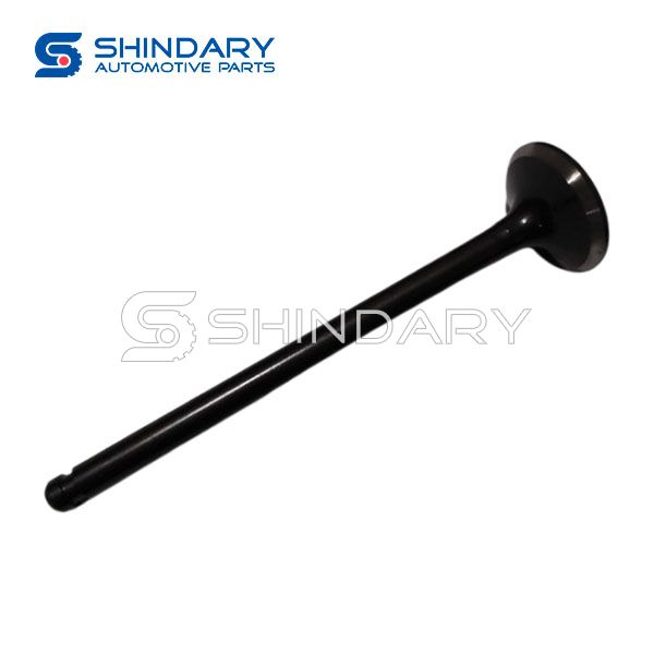 Exhaust valve 13202-31M00 for NISSAN