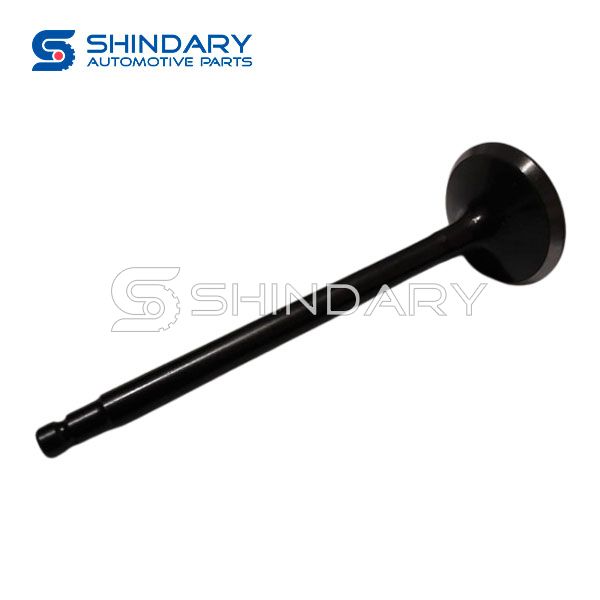 Exhaust valve 13202-40F00 for NISSAN