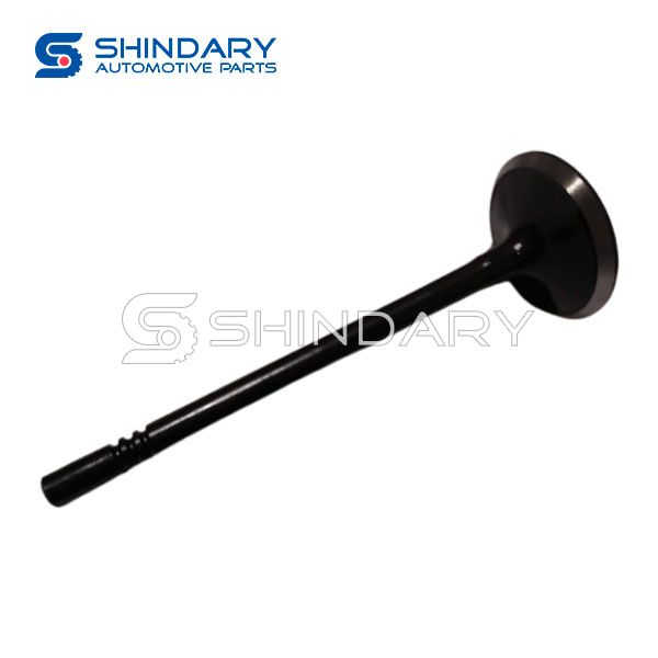 Exhaust valve 2L2Z6505AA for FORD SOCH