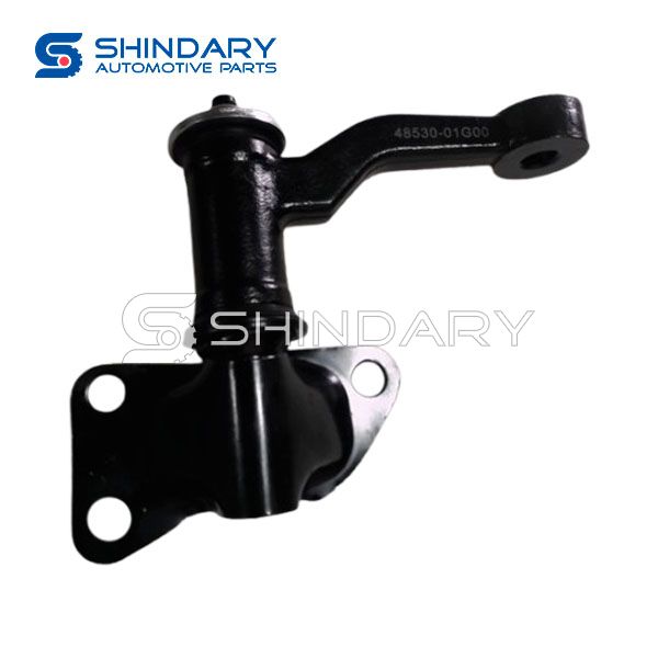 Turn the follower arm 48530-01G00 for SUZUKI