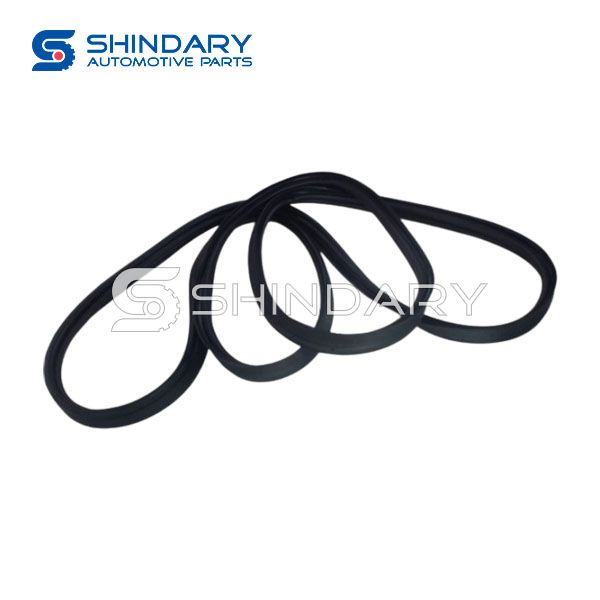 Tail door frame sealing strip C00222329 for MAXUS