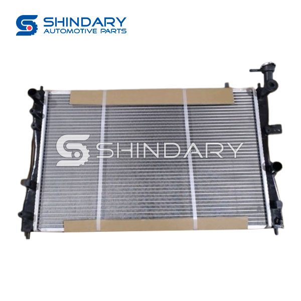 Radiator HM-HQ474-BAJ-SRQ for HAIMA HAIMA 2