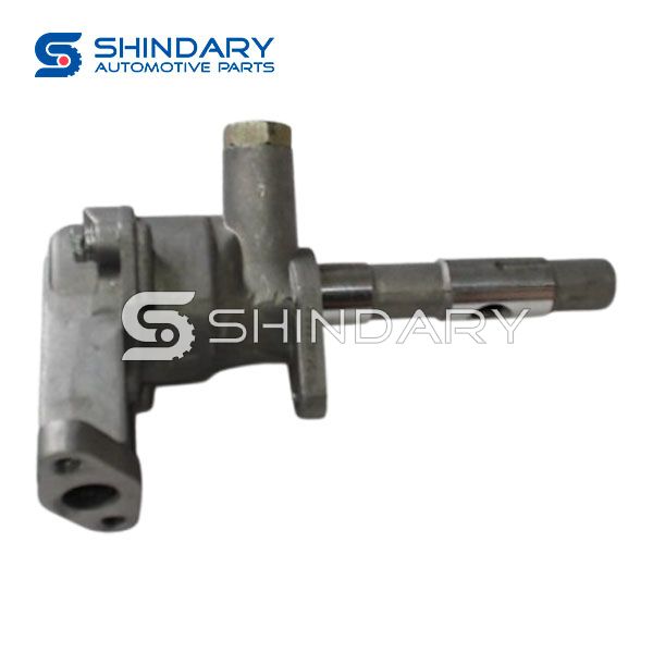 Oil pump 1011020E00 for GREAT WALL WINGLE 5