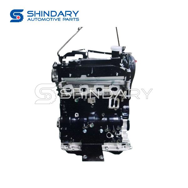 Engine assembly C00502159 for MAXUS