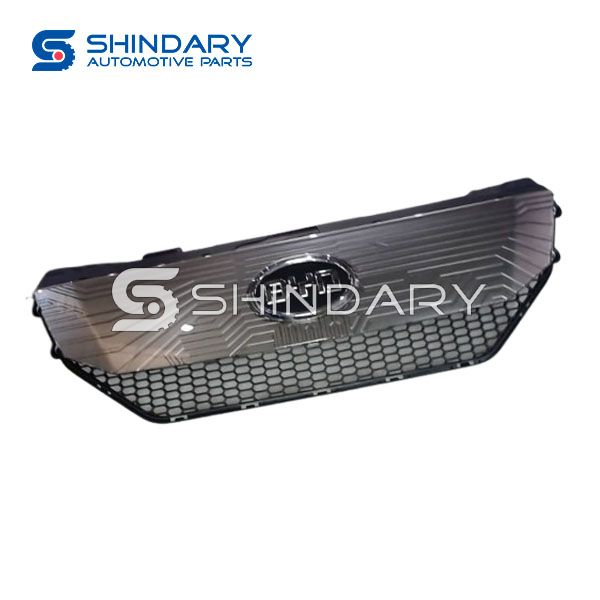 Front grille e6B-2803700-00SJ for BYD E6