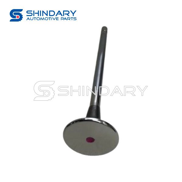 Exhaust valve C4999807 for SHACMAN