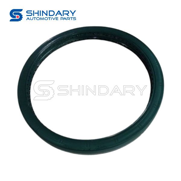 Hub oil seal DZ9112340227 for SHACMAN