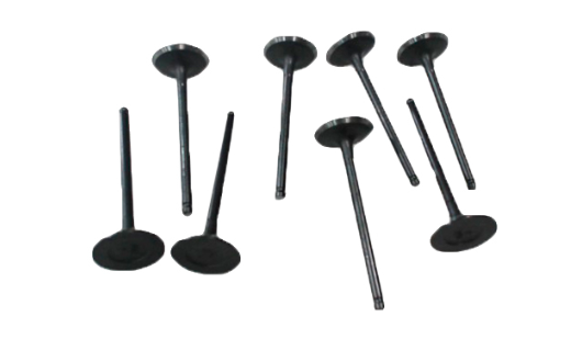 intake and exhaust valve