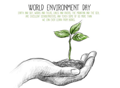 World Environment Day, Let Us Protect The Global Environment Together